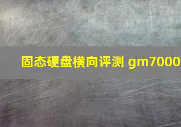 固态硬盘横向评测 gm7000